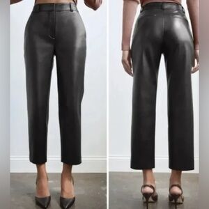 Aritzia Babaton Faux Leather Pants